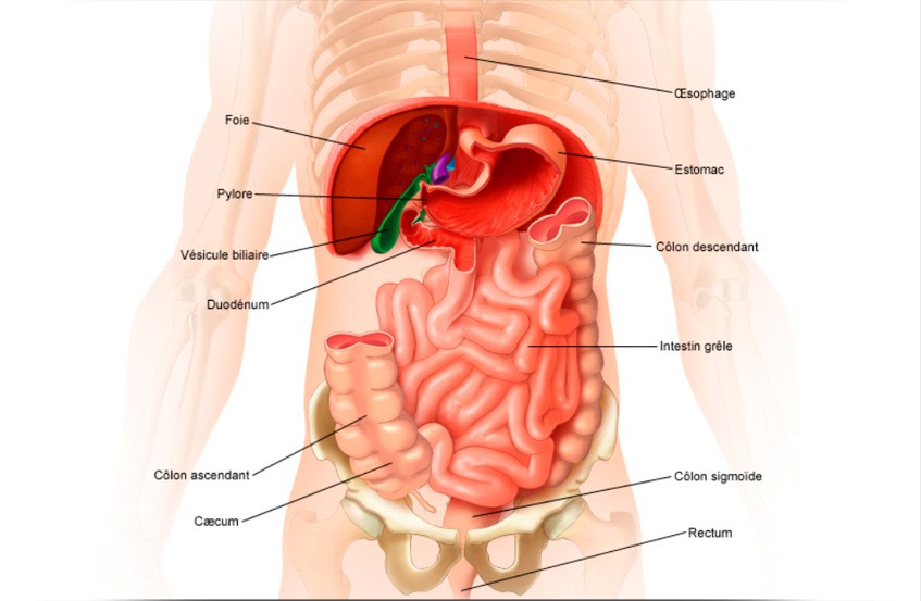 Coeliochirurgie