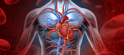 Chirurgie cardiaque